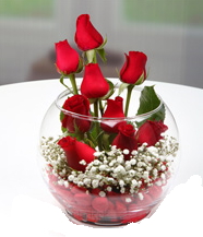 Cam fanus içerisinde 9 adet kırmızı gül Ankara çiçek siparişi vermek