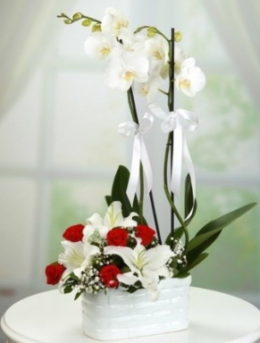 2 Dallı beyaz orkide 5 kırmızı gül ve 3 kazablanka